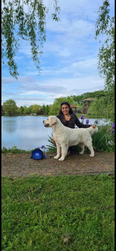 Vaccae - WORLD DOGS SHOW Zagreb 2024